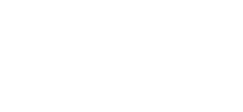Chase Insurance Group, Inc